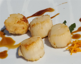 Maine Scallops