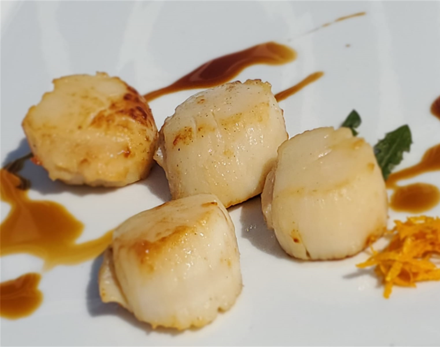 Maine Scallops
