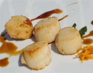 Maine Scallops